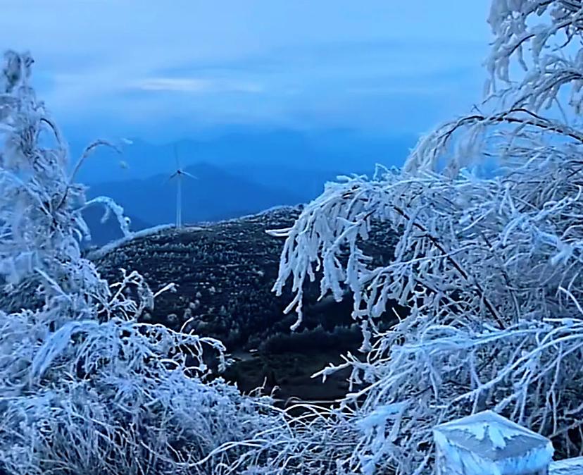 诸暨东白山的雾凇太好看了！

昨日有网友误传诸暨东白山下雪了，实则是雾凇，别称“
