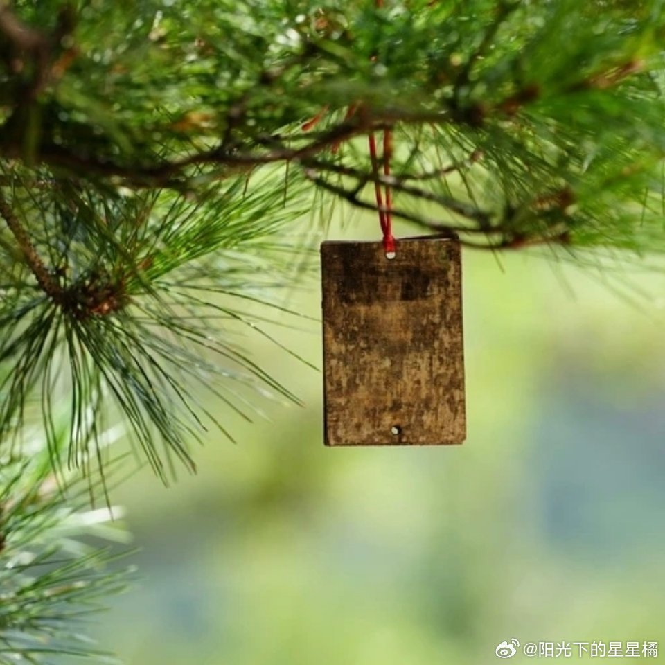 生活的模样，完全取决于自己，热爱生活的人，一定会被生活所热爱。生活向阳，人生向暖