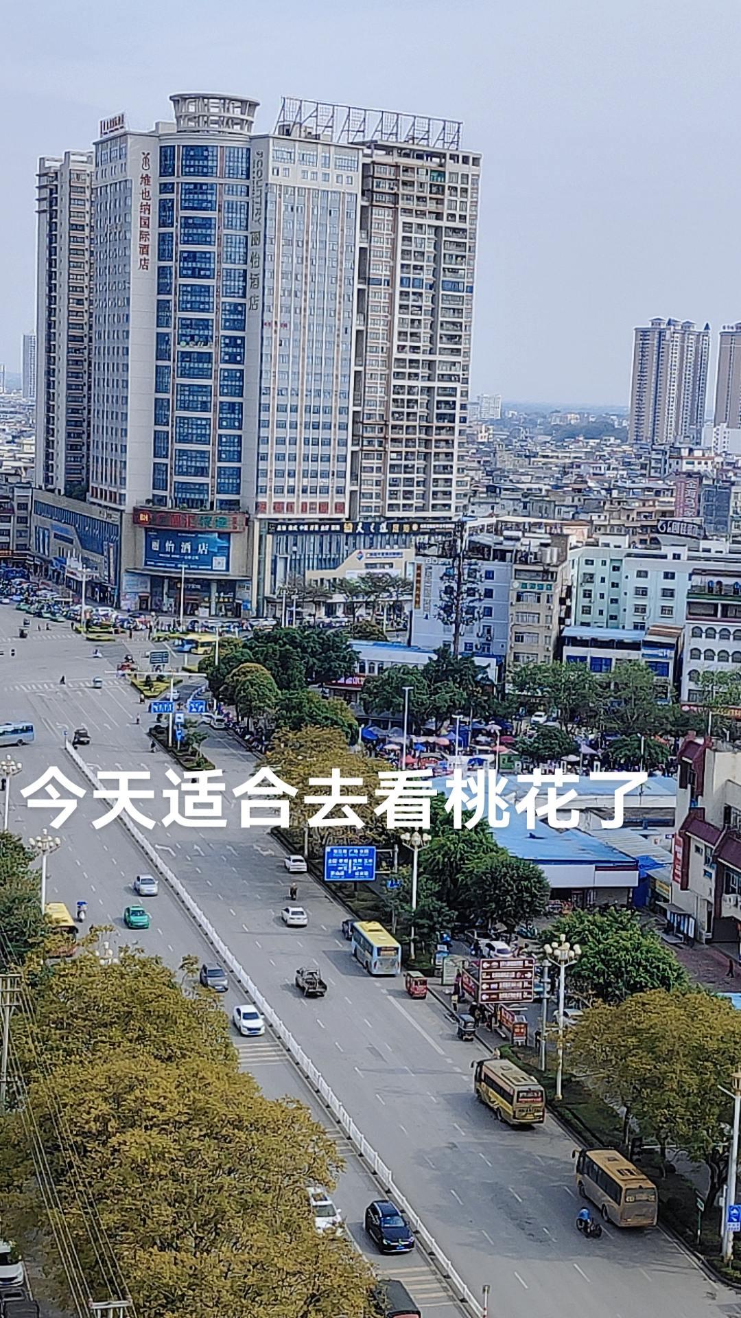 今天适合去看桃花了城市风景一角 随手一拍都是美景 看窗外的世界 真实的我