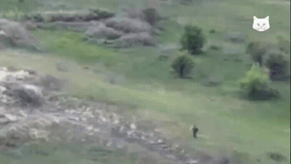 厉害！💥这名俄军士兵堪称神话，9架乌军无人机围剿都拿他没辙！