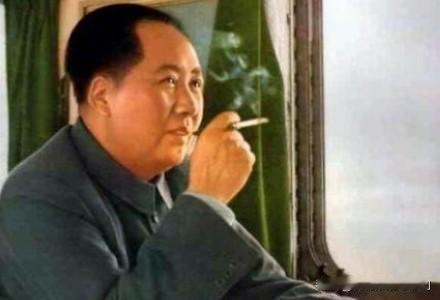 万马踏青迎新春！
今日盛世如您所愿