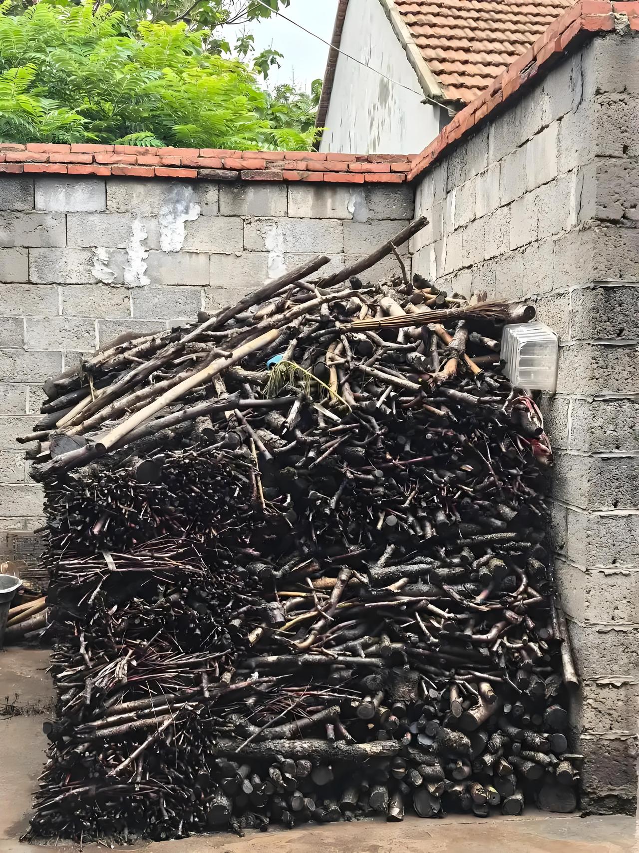 一堆柴火让我破防了
刚才同事小郭给我讲了他的故事，说他现在不敢回老家，我心里涌起