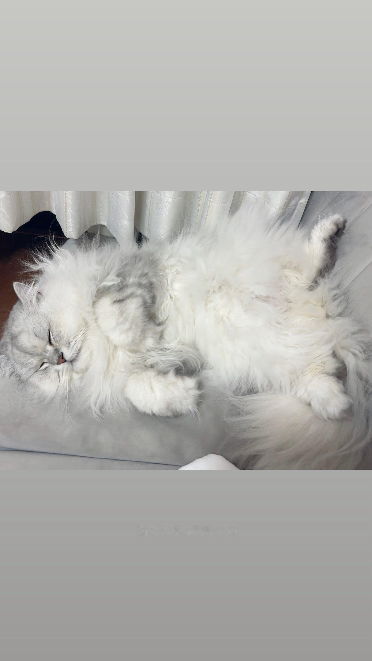 吉田綾乃クリスティー