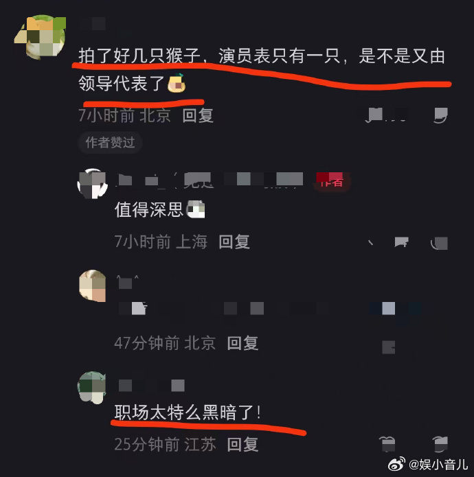 最尊重猴的剧组出现了 这绝对是今年最会整活的剧组！猴子出演不仅没出戏，反而成了全