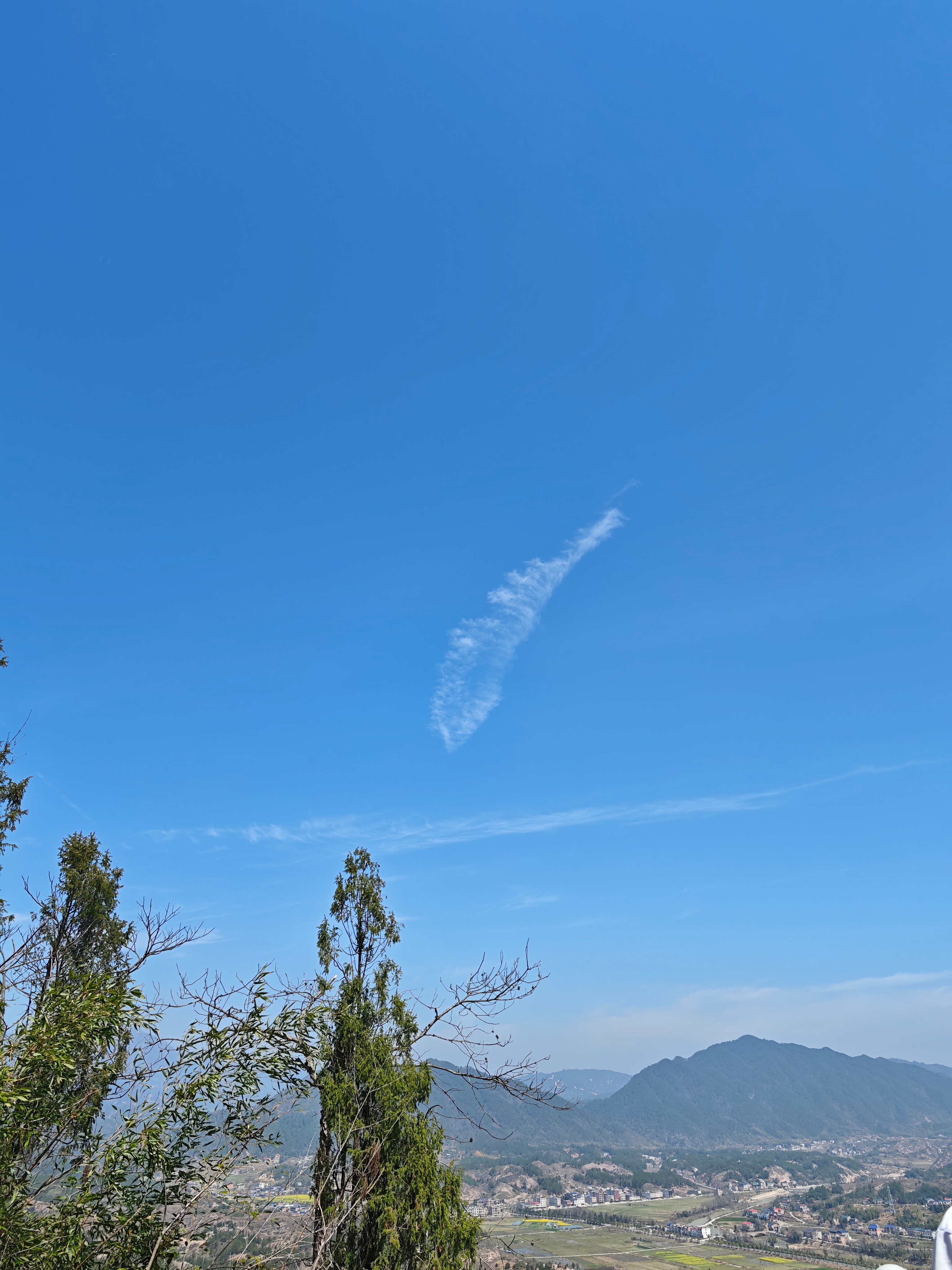 握草，爬上居然来没有吃的，天上的云都能看成鱼🐟🐟🐟了 