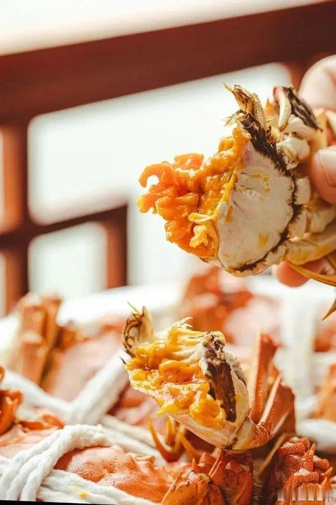 阳澄湖大闸蟹有了平替真没必要盯着某湖蟹当冤大头！现在好多产地的大闸蟹都超绝，膏黄