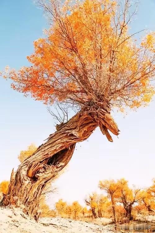 过了60岁，人生仿佛坐上了飞火轮，时间过得飞快

年轻时，我买了大量的书。那时想