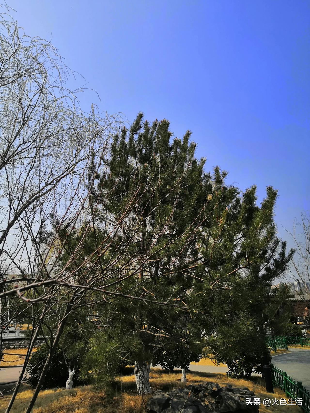 火色有爱[礼物]欢喜自在