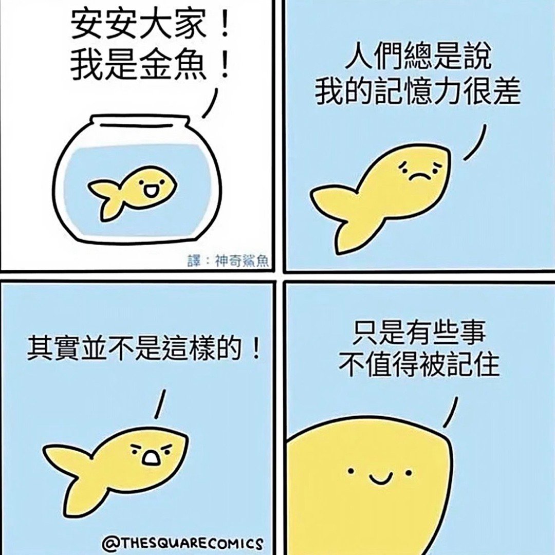 五四，雷泽归妹持中至正，小心翼翼注意肝胆，生殖泌尿，肾脏宜：结婚 订婚 入学 考