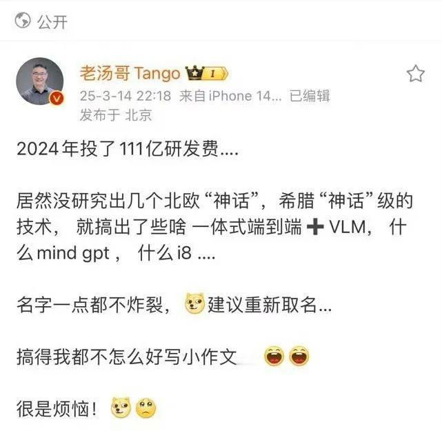 自从MEGA扑了以后，理想这位高管就开始祥林嫂了。一个高管，不干正事，天天阴阳怪