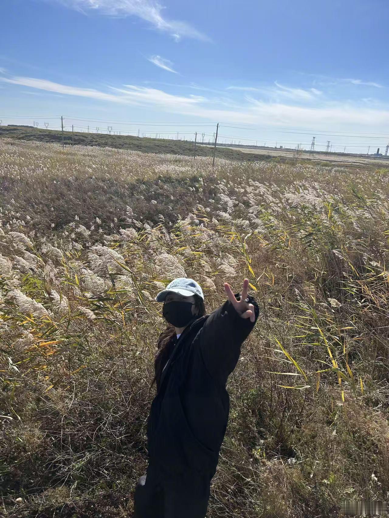 节气博主上线啦，杨幂的小雪十二宫格plog请查收