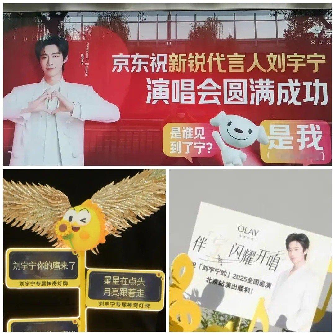 感觉刘宇宁演唱会都快要变成娱乐圈人士时尚单品了，今晚北京演唱会国内几大影视平台和
