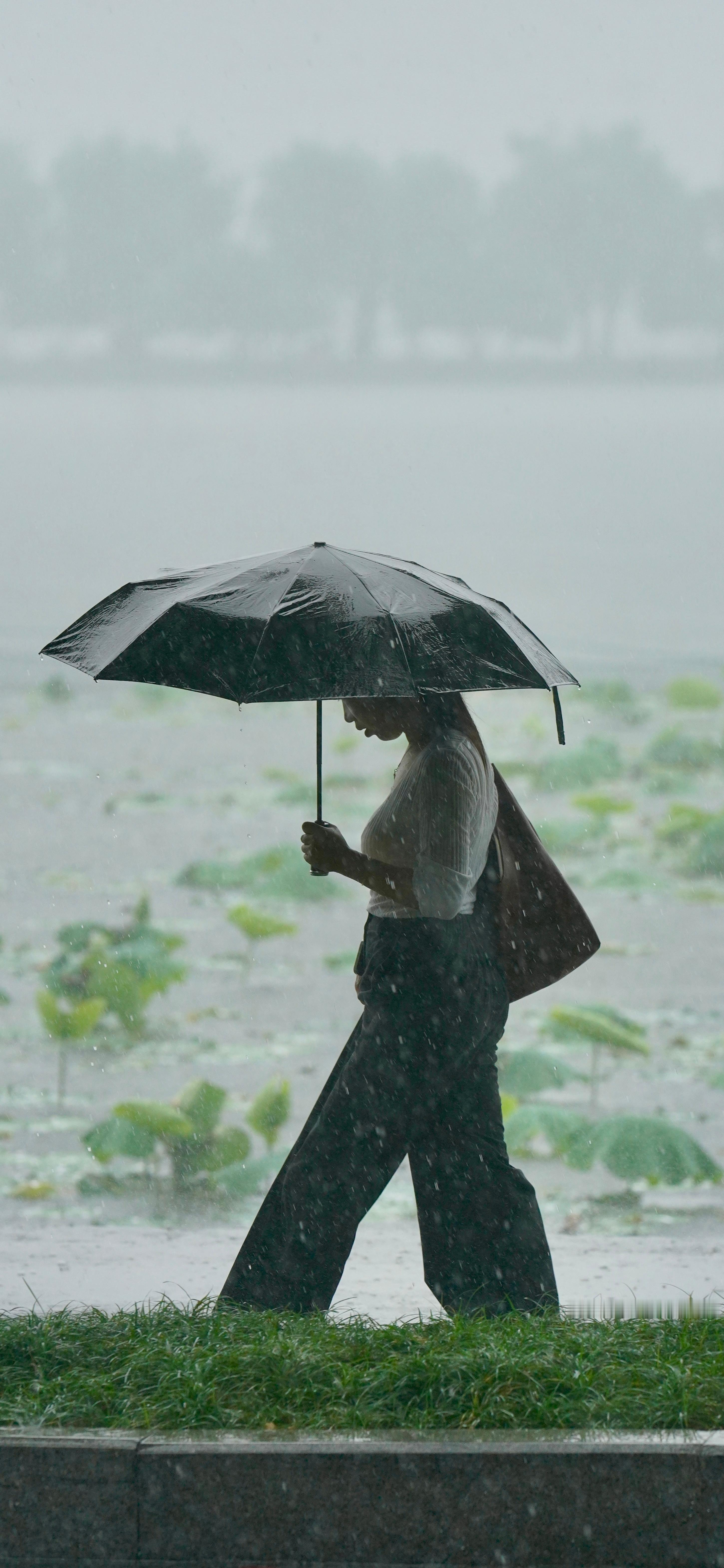 雨下的猝不及防 