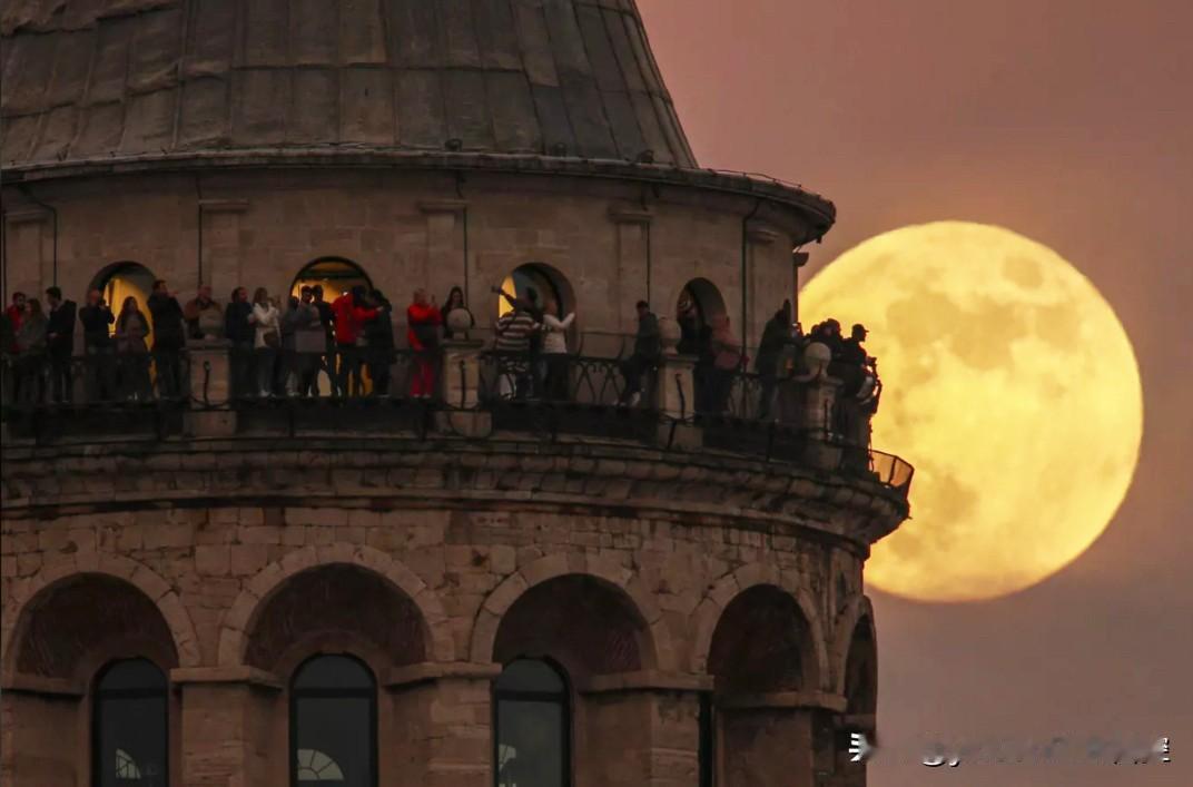 土耳其执政联盟之一、民族行动党党首巴赫切利对美国绑架委总统的精辟论述：
    