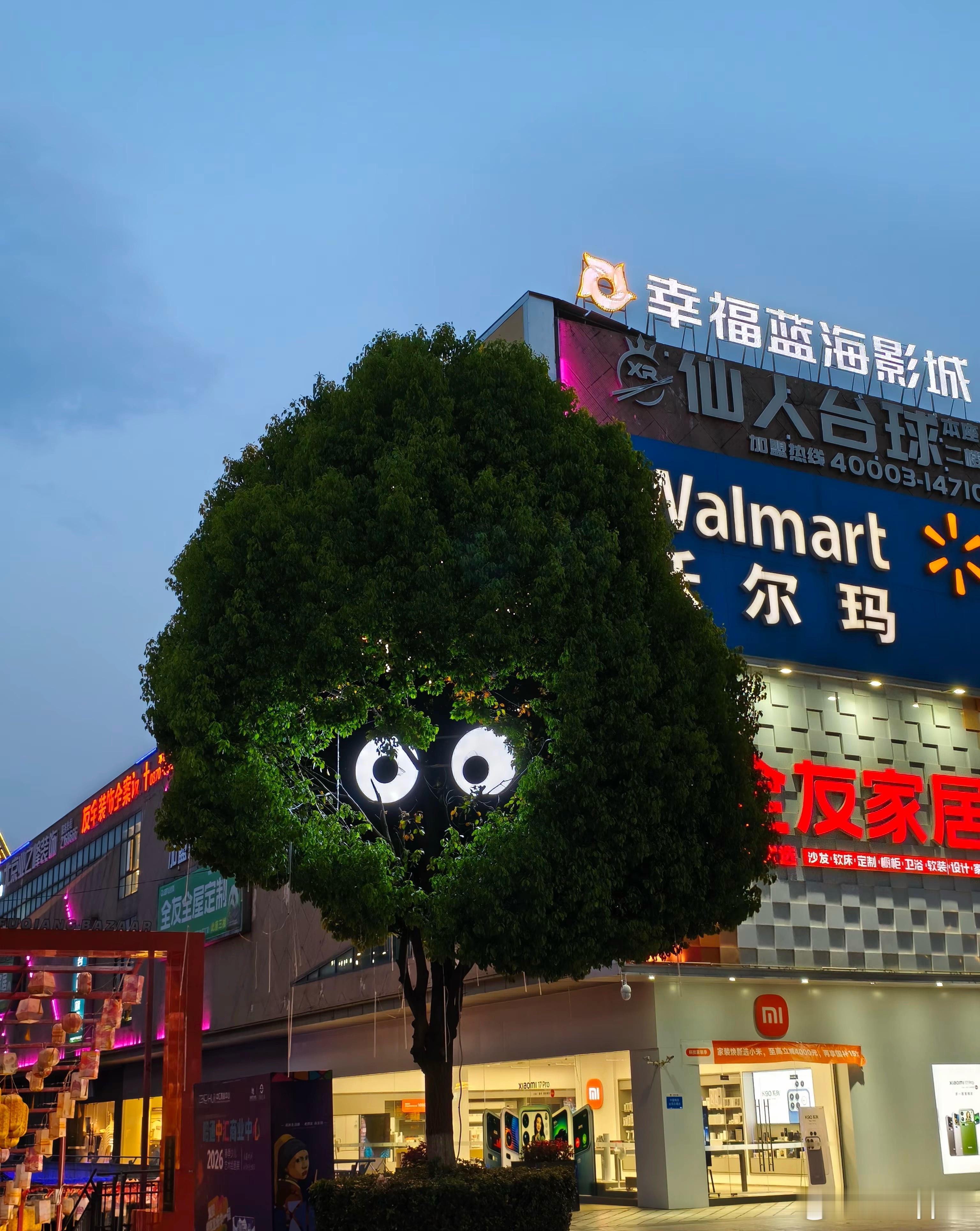 这白海豚，耽误出门……低估了白海豚白海豚提前登陆