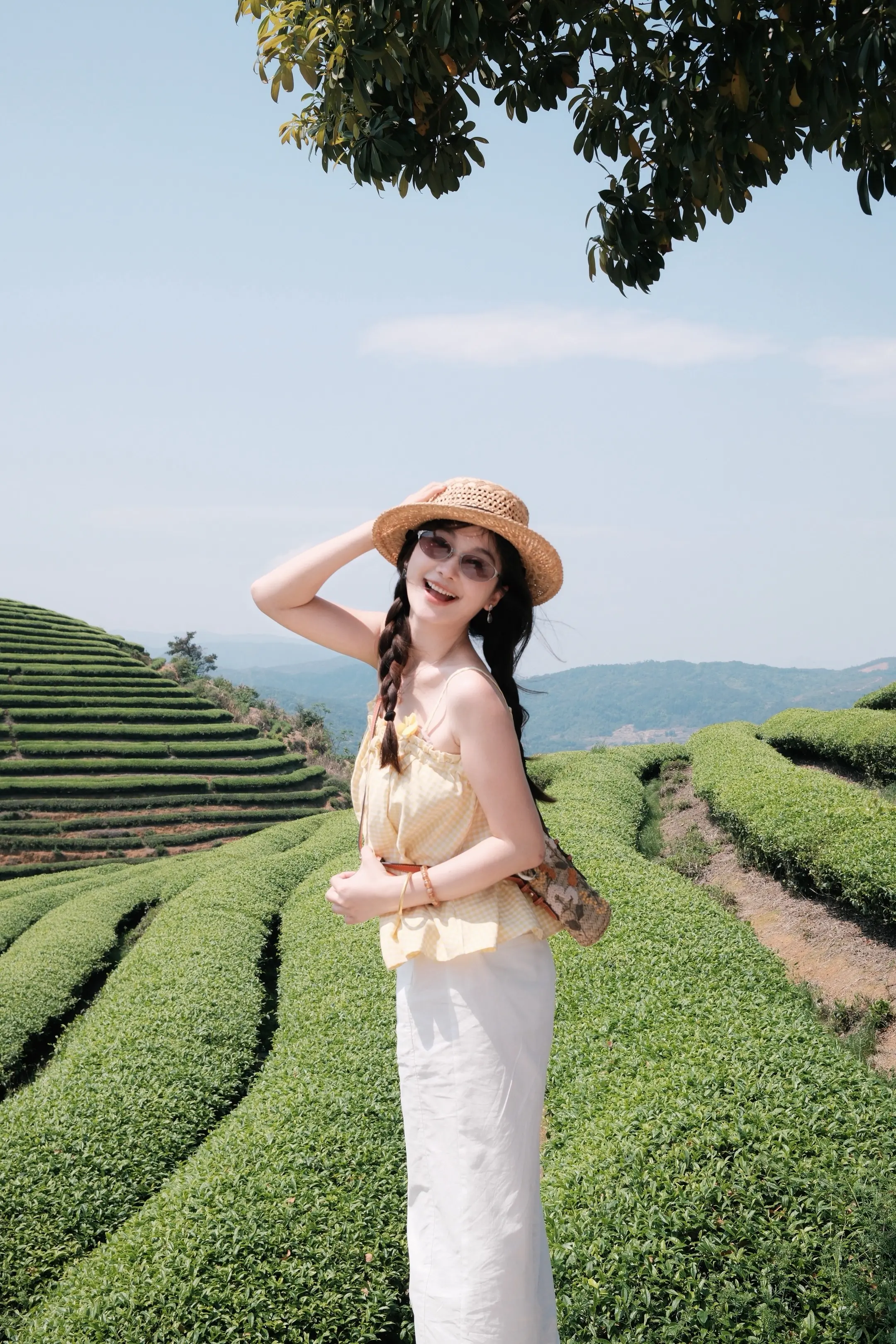 墙角开了一朵小花 没人管她自己长大。