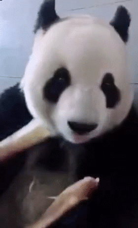 当你在吃东西的时候突然想起要减肥... ​​​