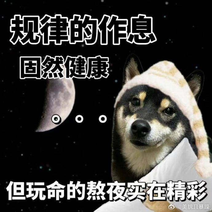 真不能追剧了呀。这么好的天气，得用来睡觉啊。姐妹们早上好呀，我该睡了。 