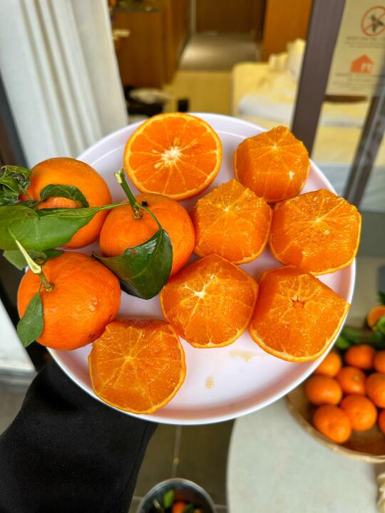 要不你们叫我橘子🍊女王👸