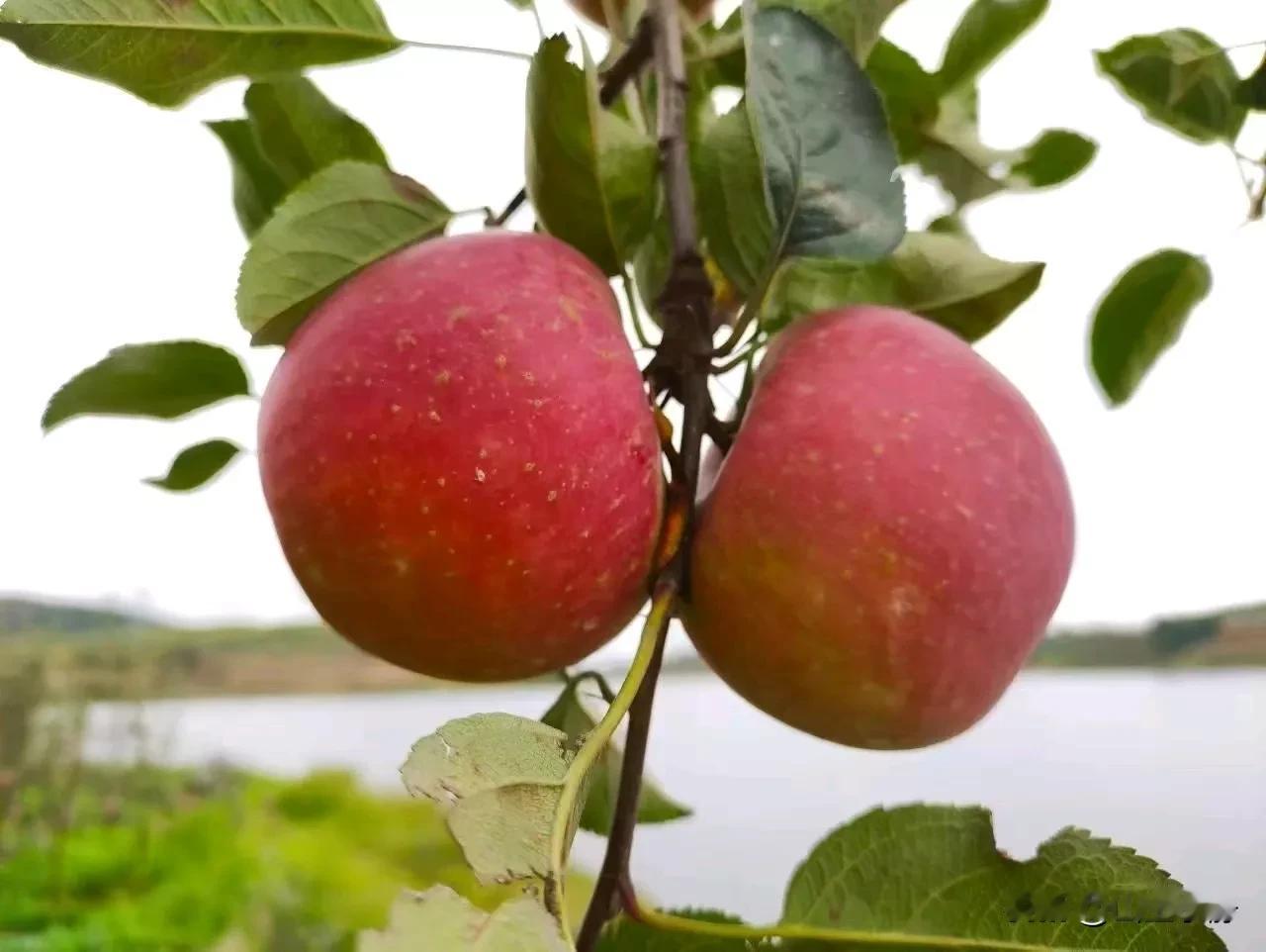 Spend your time making progress, not com