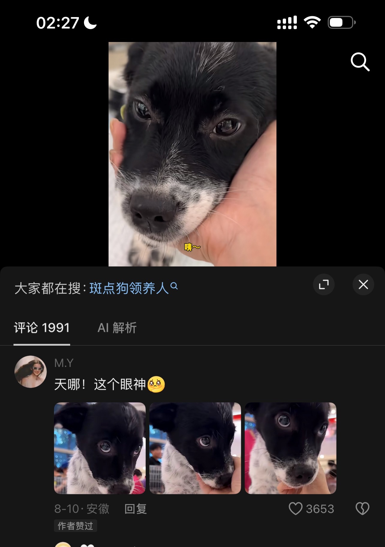 我每次联想到张泽禹伤心难过时就会想到小狗的这个表情然后我就特别心疼张泽禹！ ​​