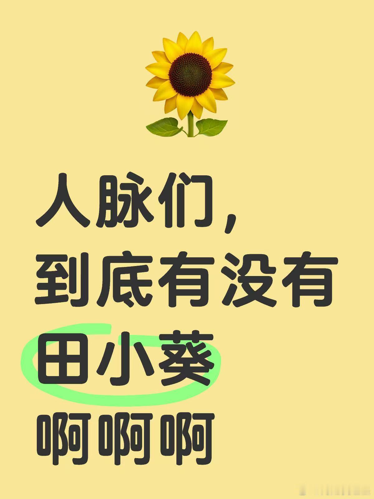 若若 孩子出生证明诡秘们，到底有没有田小葵啊 ​​​