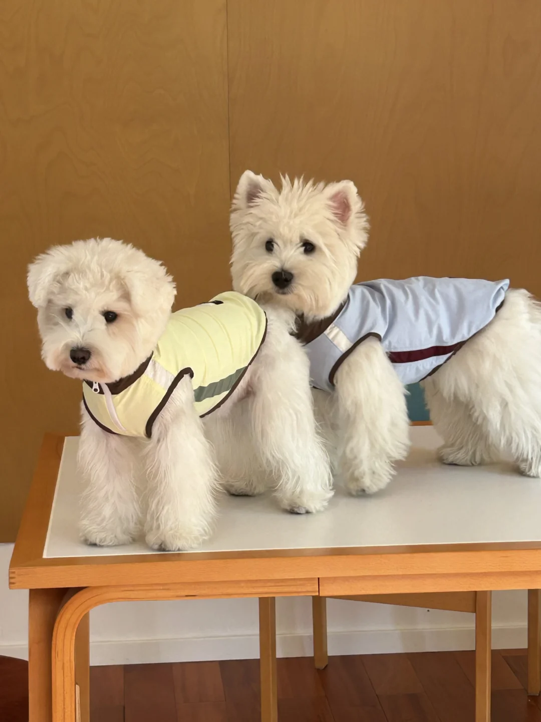 春夏都适合的轻量防晒衣！