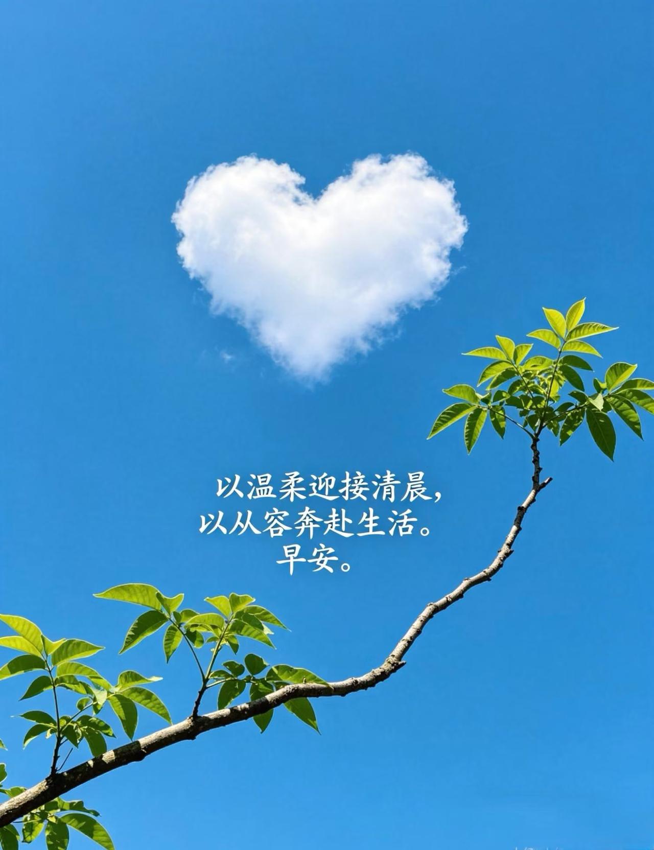 以温柔迎接清晨，
以从容奔赴生活。
早安