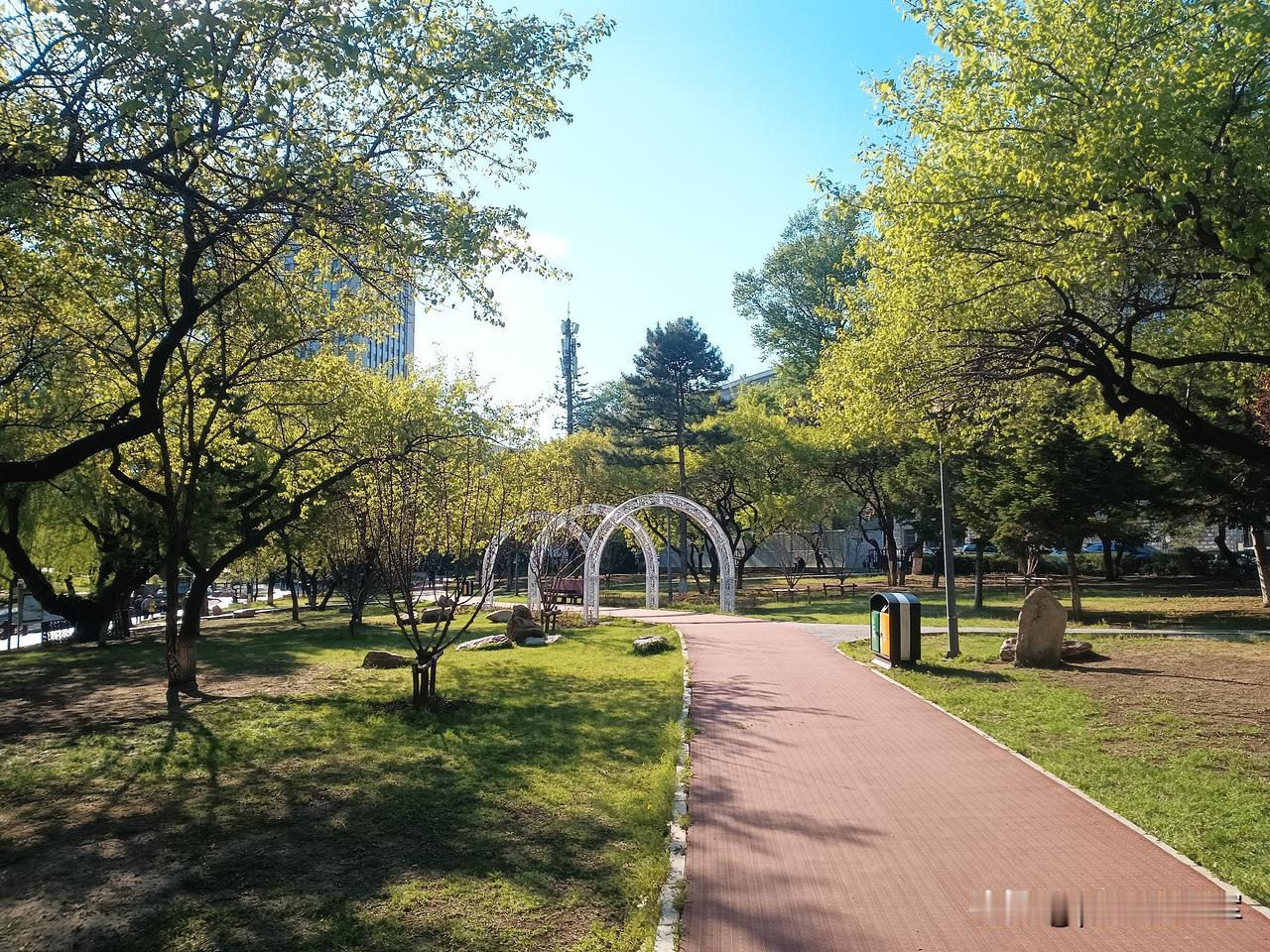愤怒的小鸟
下楼去公园晒太阳，要老伴一起去，他不肯，我告诉他，我没带钥匙，他嗯一