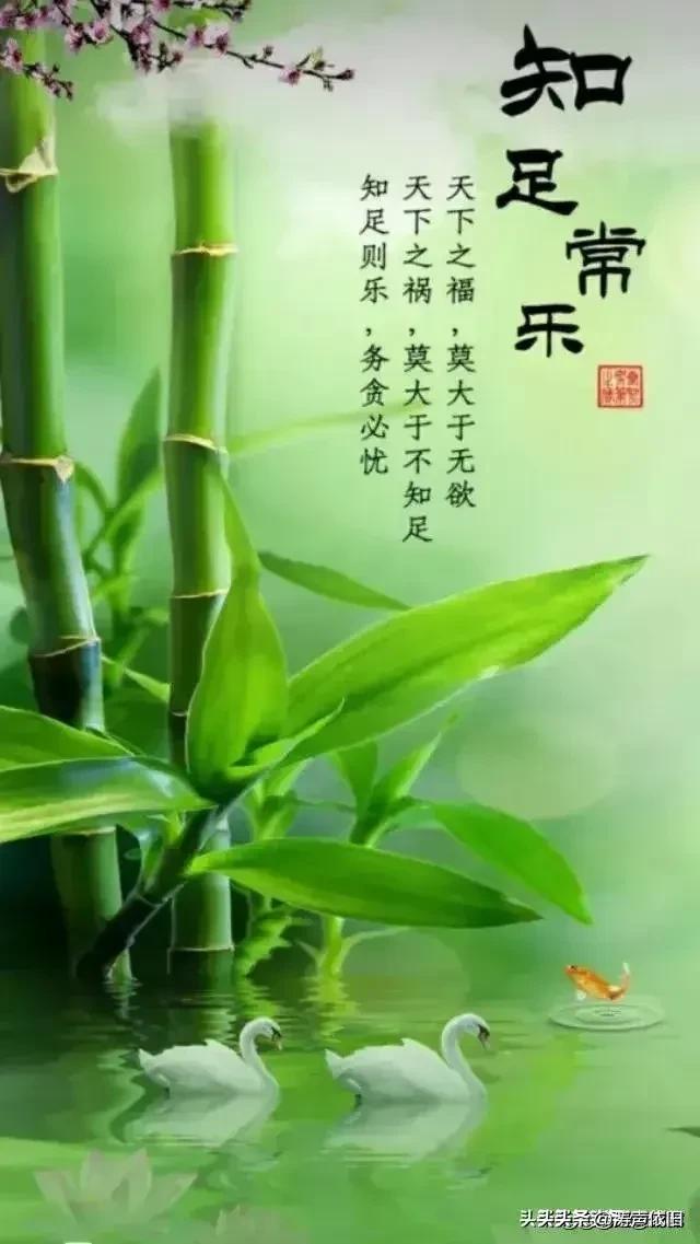 《菩萨蛮·知足常乐》
 
人间至福唯无欲，
世路深殃是不足。
薄利心常乐，
贪荣