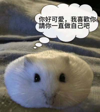 分享图片 