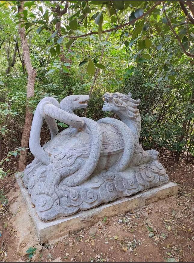 这尊石雕为玄武造像，是我国古代极具代表性的传统瑞兽石刻，在各地古建园林、道观、历