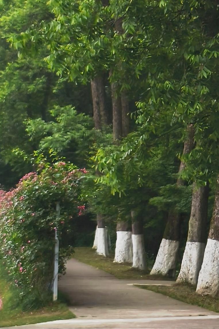 大暑，确实是夏天最后的疯狂。古人把最热时段分成小暑和大暑，大暑便是暑热“大成”之