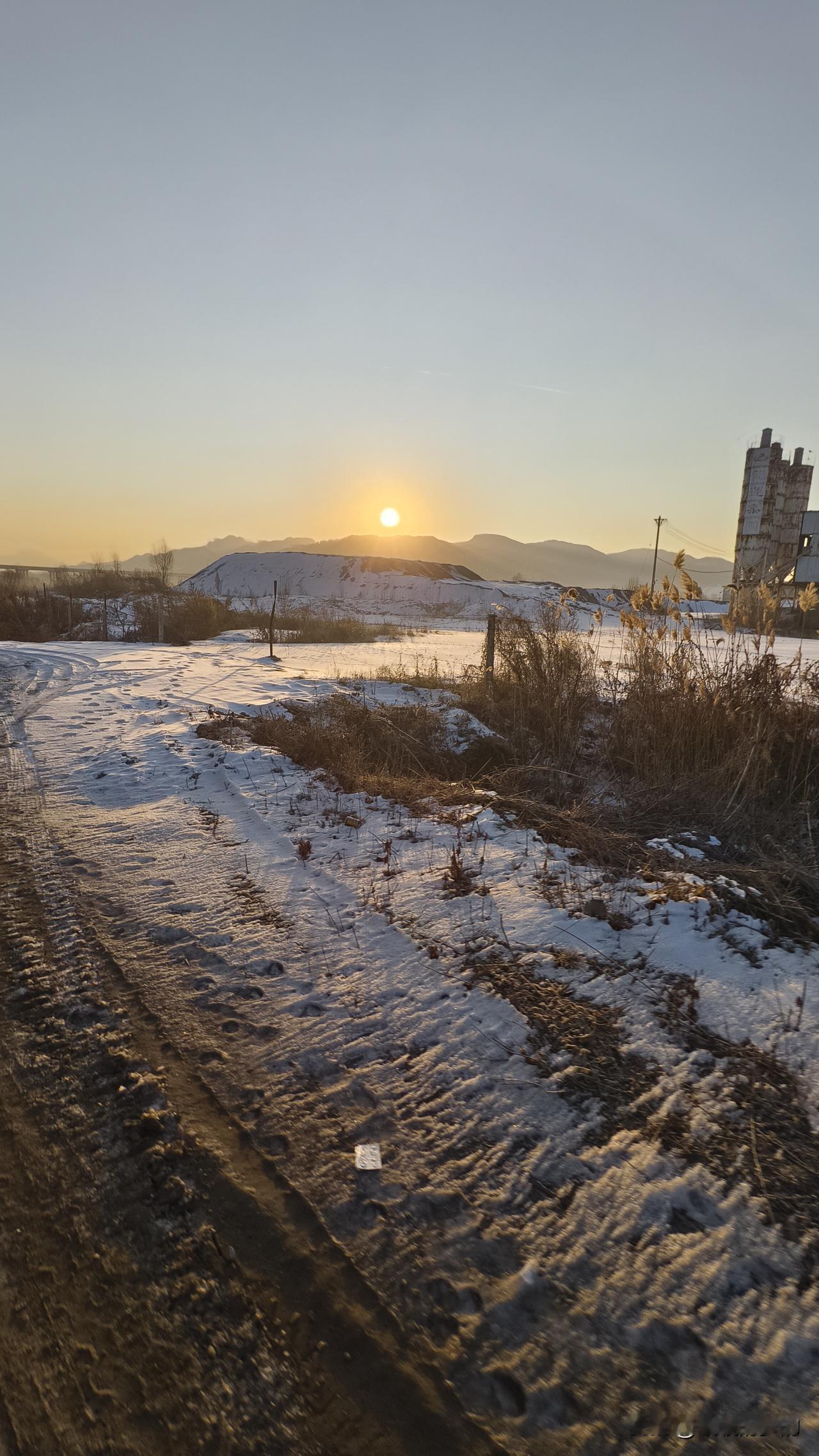 冬日生活打卡季