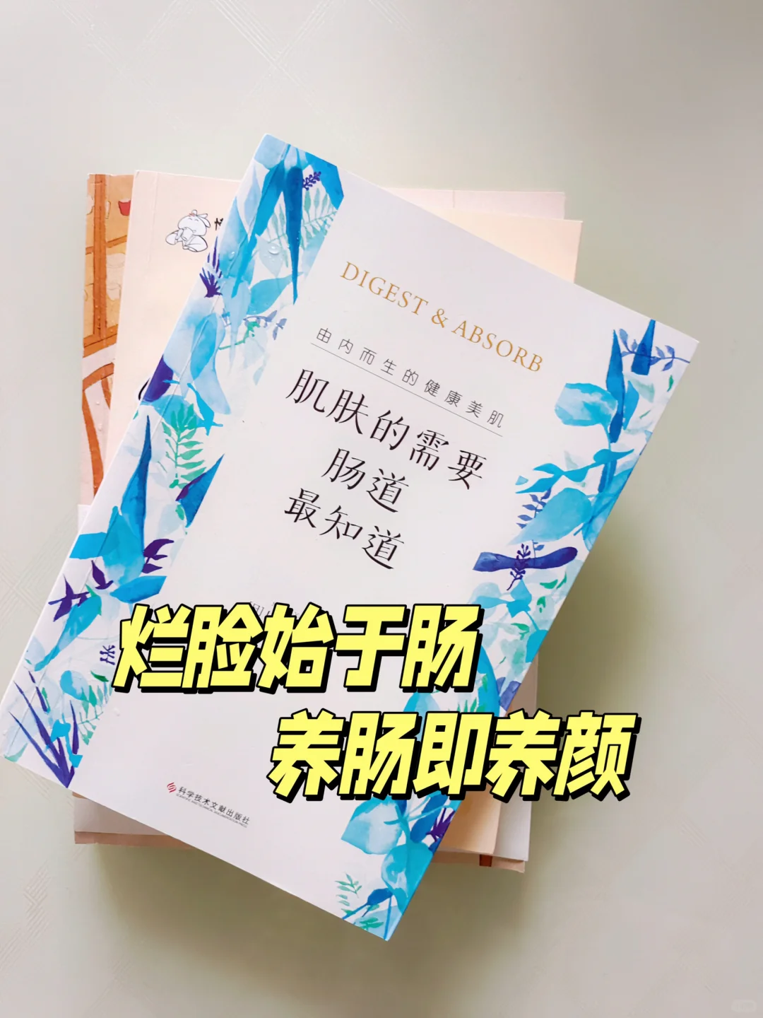 养肤=养肠 养好肠道拒绝烂脸