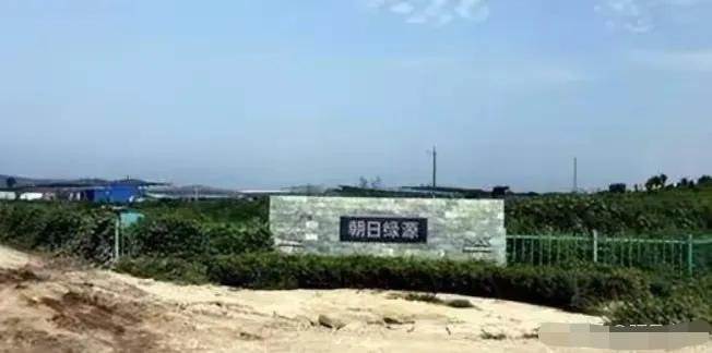 2006年，日本人向中国投资了15亿，在山东租下了1500亩地，居然什么都不种，