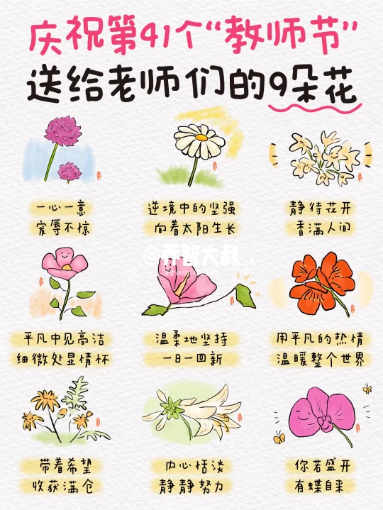 庆祝第41个教师节，送给老师们的9朵花