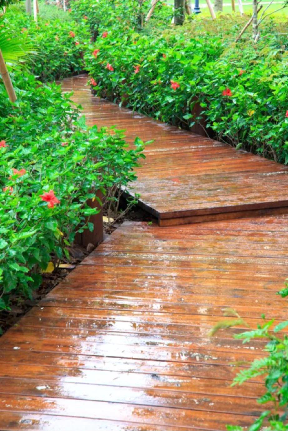 下雨了

今晨6点开始
下了中雨
哗哗一阵子
这会变成了小雨

雨是悄悄来的
也