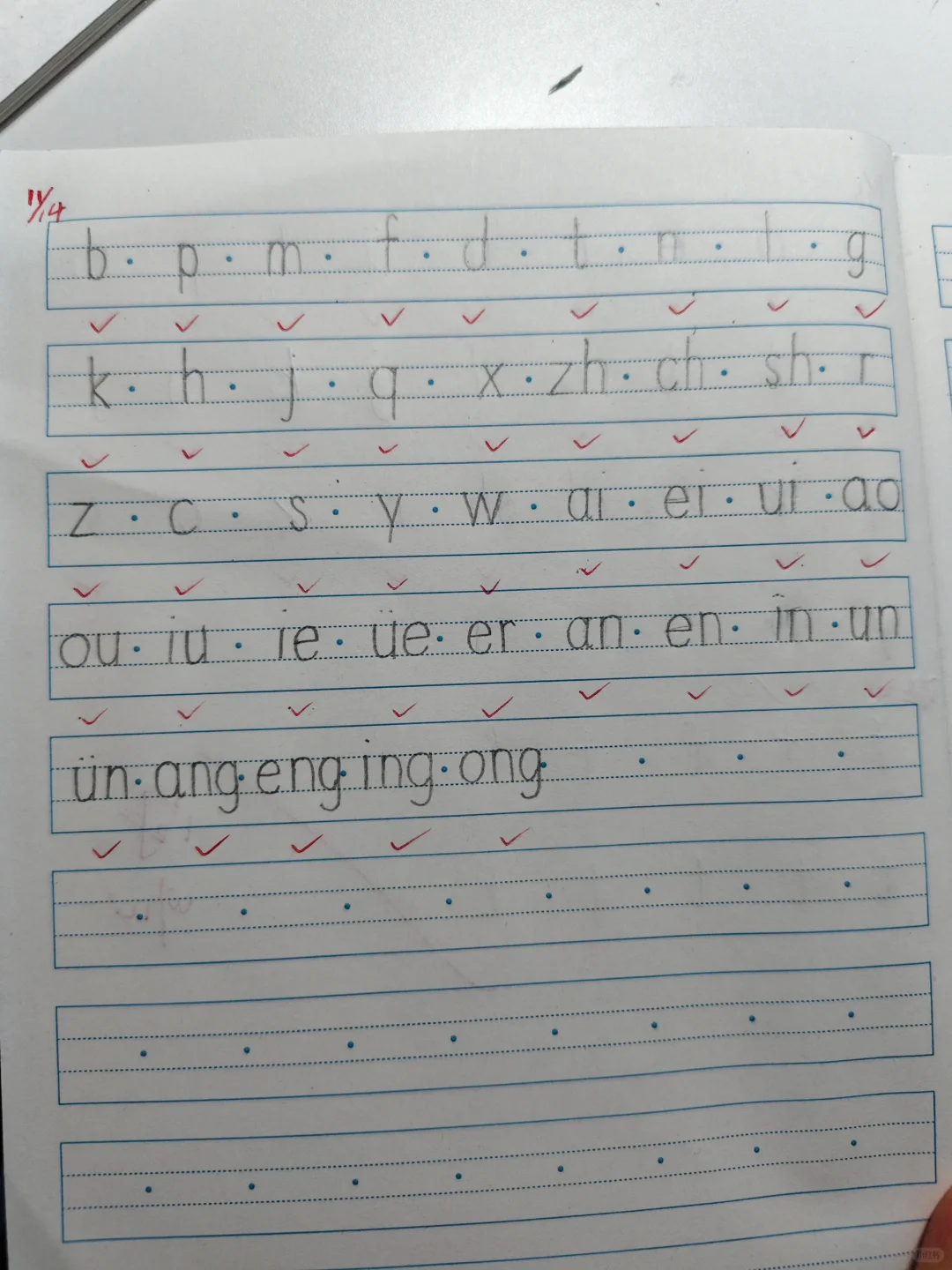 作业之拼音默写