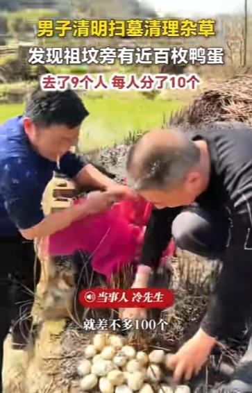 太惊喜了！江西九江一家9口清明扫墓，本来只是安安静静尽份孝心，谁能想到，刚扒开祖