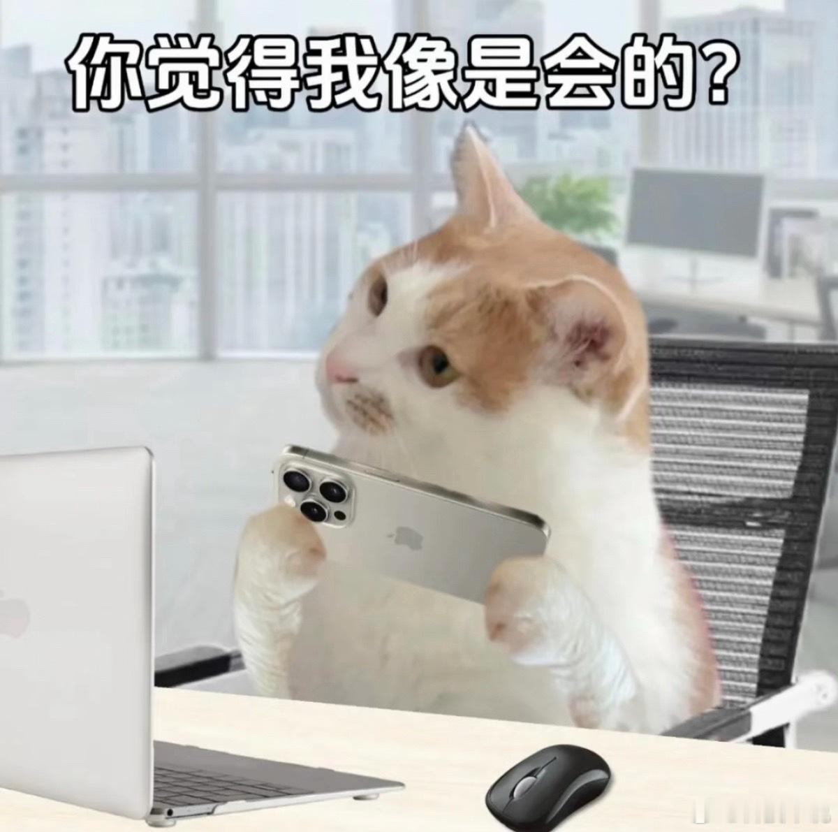 新手机到手，一套仪式感操作少不了：先贴膜、套手机壳，再挂上好看的手机链，才算正式