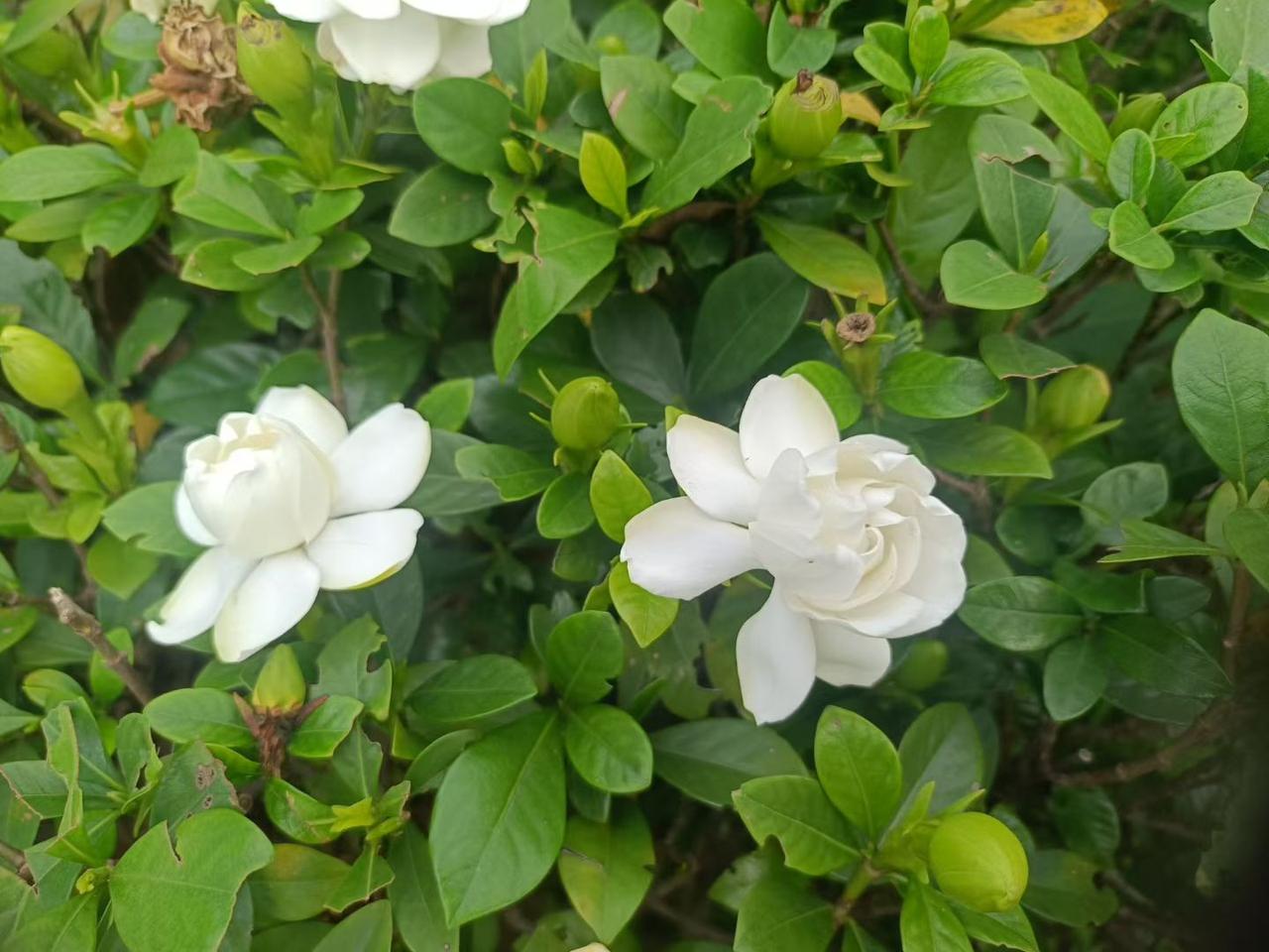 我发现了：自从我满50岁，申请了退休后，内心就越来越焦虑了。
1、退休金还得一个