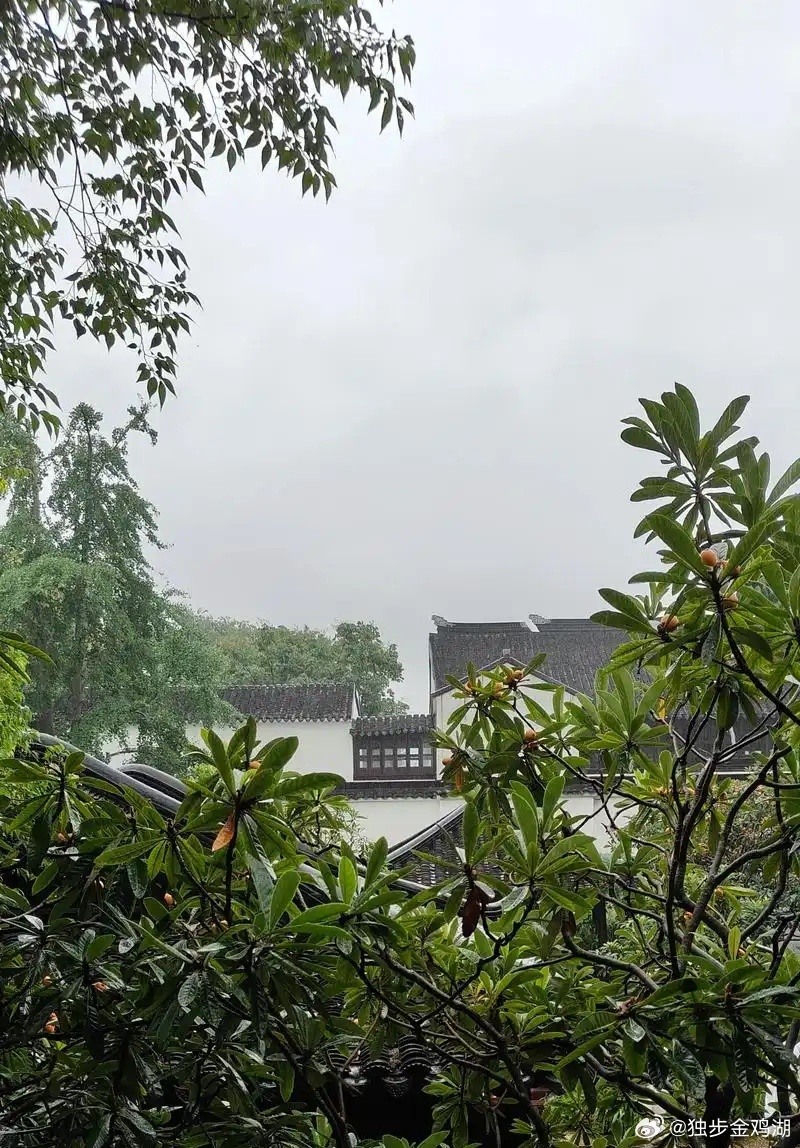 心里话         记人恩情，察己不足，心湖方🉐澄明如镜。     