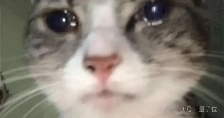 AI正在占領你的視頻推薦流