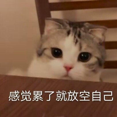洗大玻璃杯，手滑掉地上的瞬间，我怕碎掉，本能的抬脚用脚背踢到地毯那边感觉用我的脚