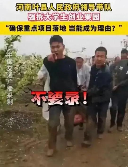 “像牲口一样被拖走！”河南平顶山，大学生返乡创业种了几亩梨园，为了建设高速，政府
