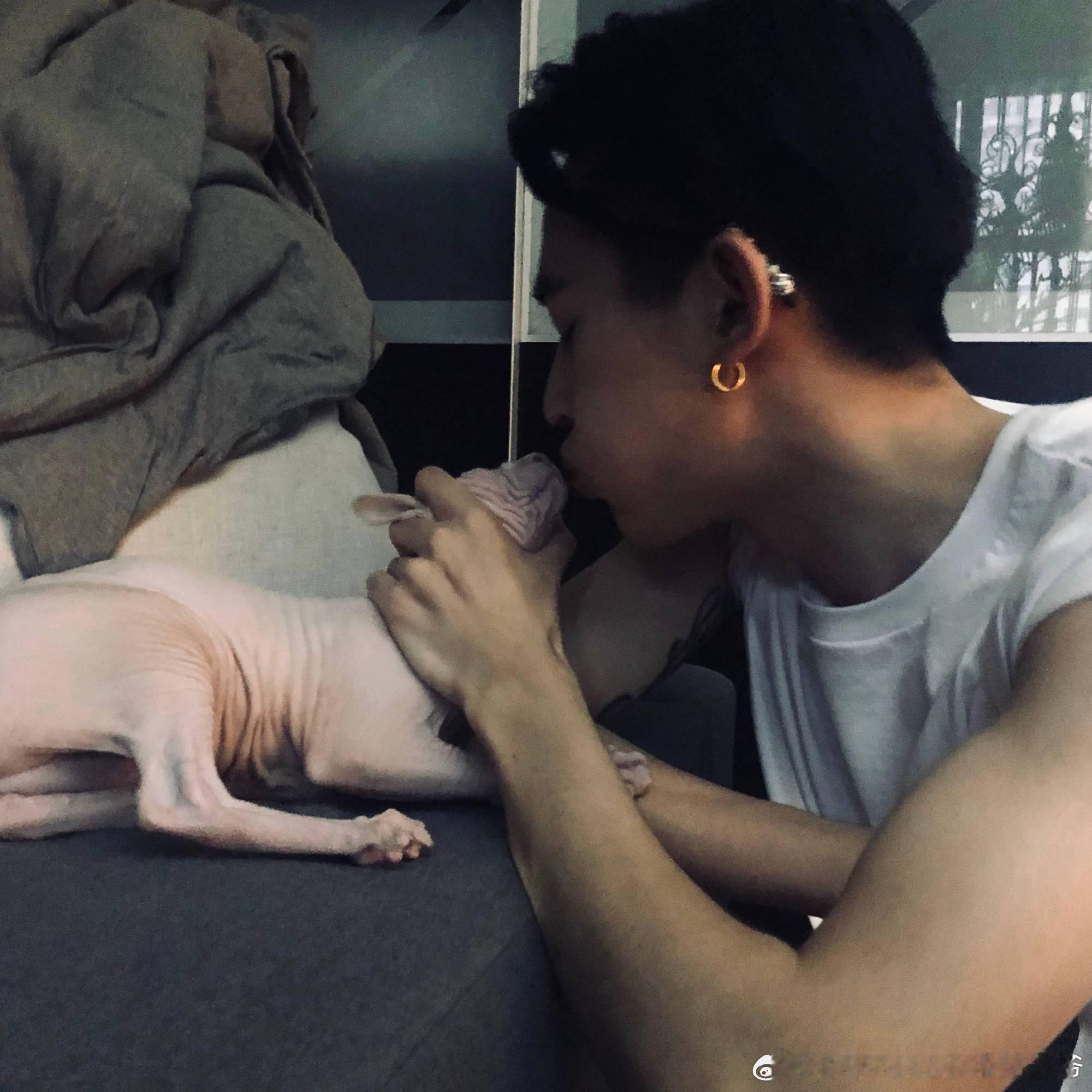 邓为  🐍百妖谱 邓为 😍邓为司狂澜请再努力一下，为了你想见的人，想做的事，