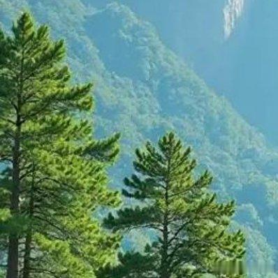 有人在海边，有人在海上，也有人在峡谷 