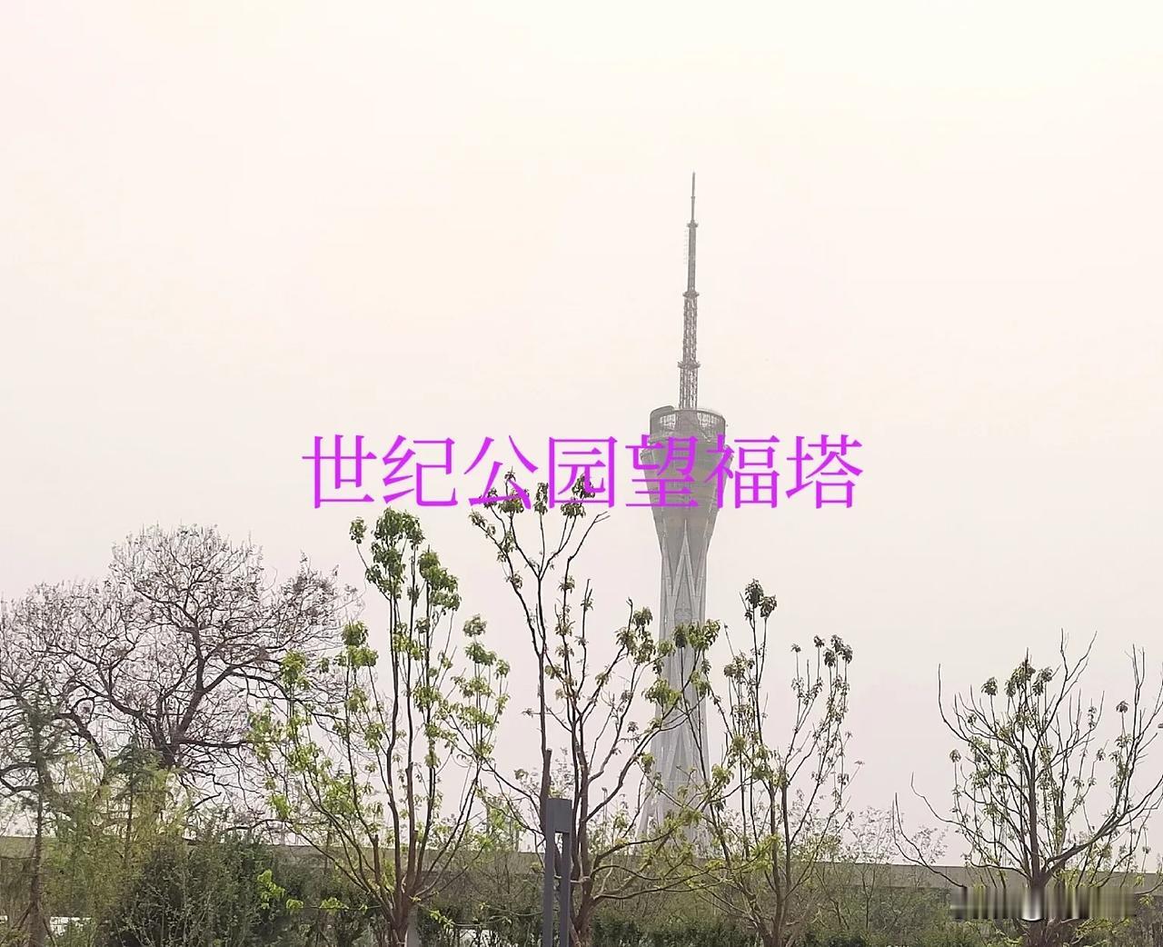 还有人不知道世纪公园开通了么？
曾经的世纪欢乐园改造升级世纪公园项目已经开通了！