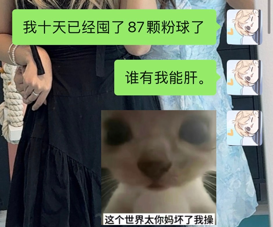 为了少女和至冬女皇拼了命。 